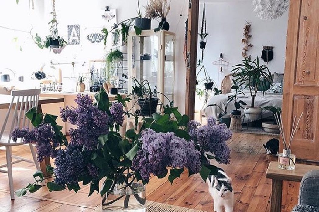 Инстаграм недели: стильное озеленение пространства в аккаунте @plantsindecor