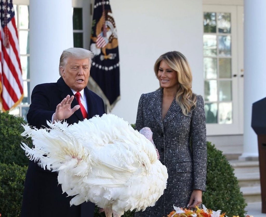 Дональд и Мелания Трамп на церемонии помилования индейки перед Днем благодарения