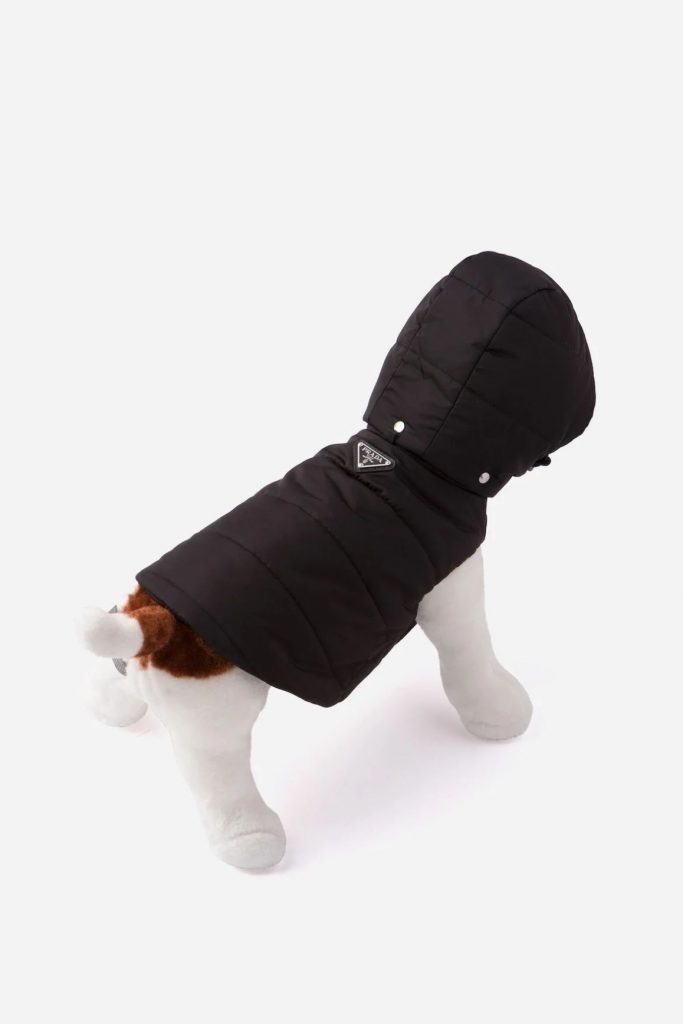 Prada выпустили коллекцию одежды для собак
