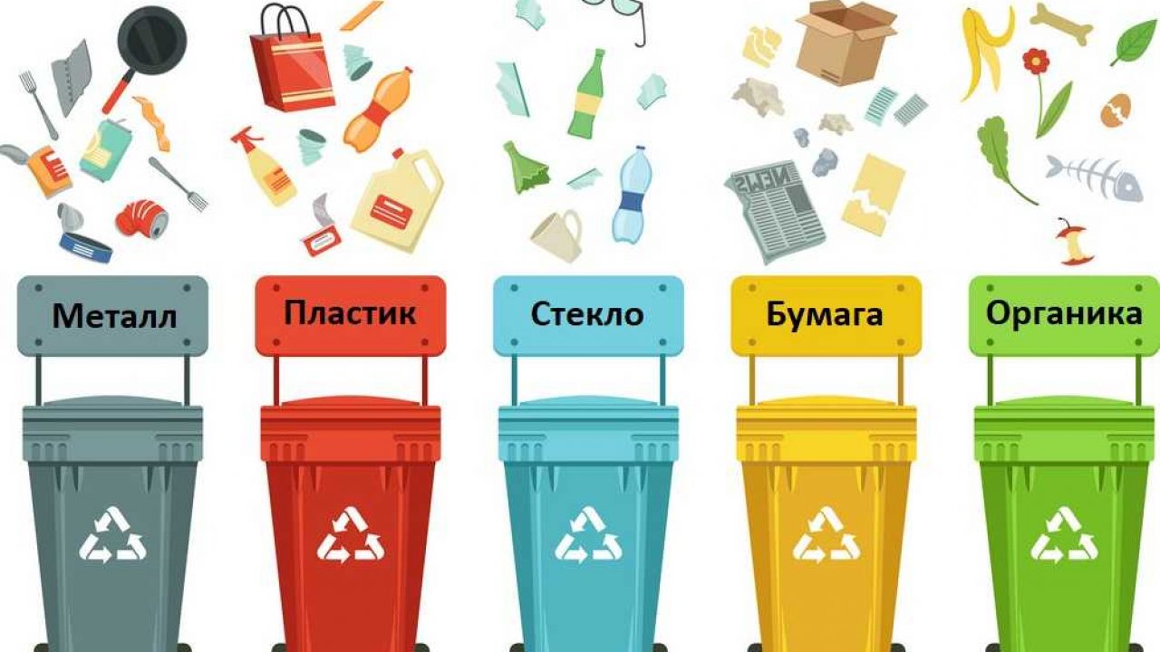 Опасный пластик и чеки-убийцы: как сохранить здоровье и экологию, отправляясь в супермаркет