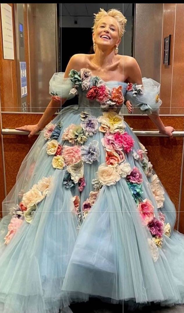 Сукня, усипана трояндами: образ Шерон Стоун від Dolce&#038;Gabbana