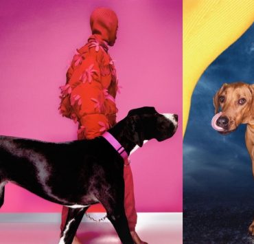 Собаки стали героями рекламної кампанії Jacquemus