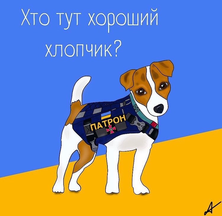 Как пёс-сапер Патрон служит в рядах защитников Украины