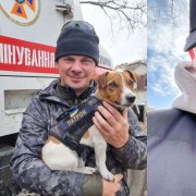 Первый снег в ленте Насти Каменских, Сони Плакидюк и других героев INSIDER.UA