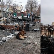 У Молдові оголосили день жалоби за загиблими українцями