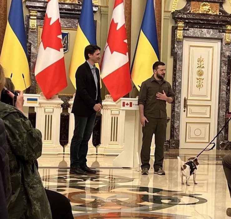 Зеленский и Трюдо наградили украинского пса-сапера Патрона