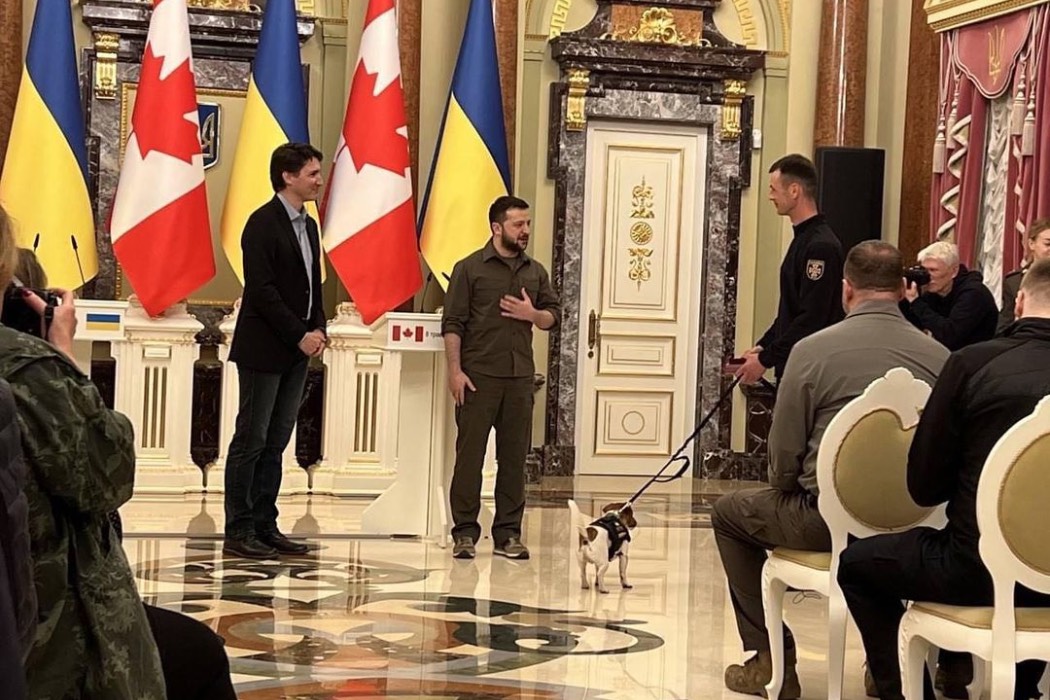 Зеленский и Трюдо наградили украинского пса-сапера Патрона