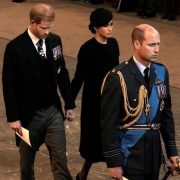 Принц Гарри и Меган Маркл провели с Елизаветой II всего 15 минут на праздновании юбилея