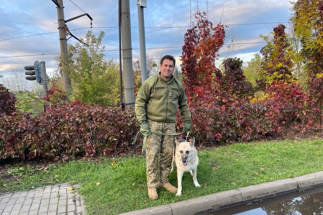Андреа Бочелли приютил раненого пса, пережившего оккупацию в Купянске