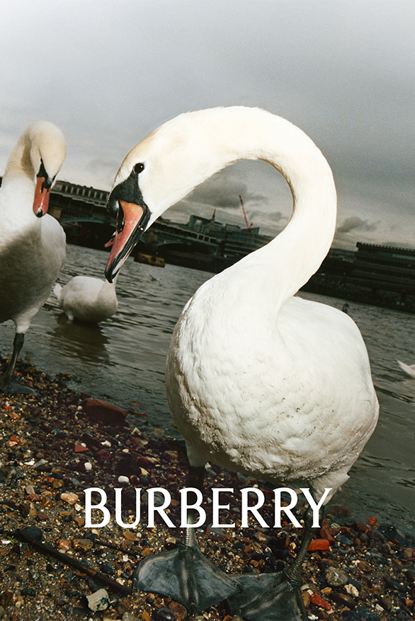 Деніел Лі представив перший кампейн для Burberry та оновив логотип