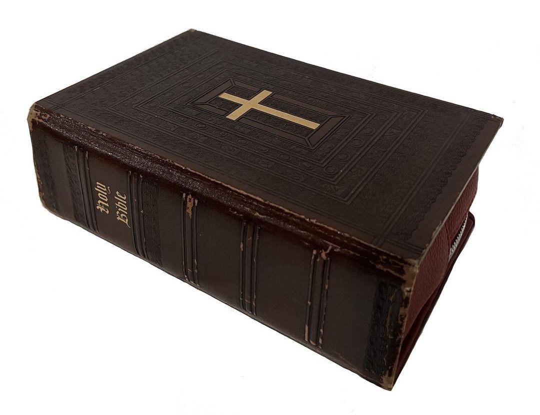 «Библейский» клатч — аксессуар, который полюбили Джулия Фокс и Doja Cat