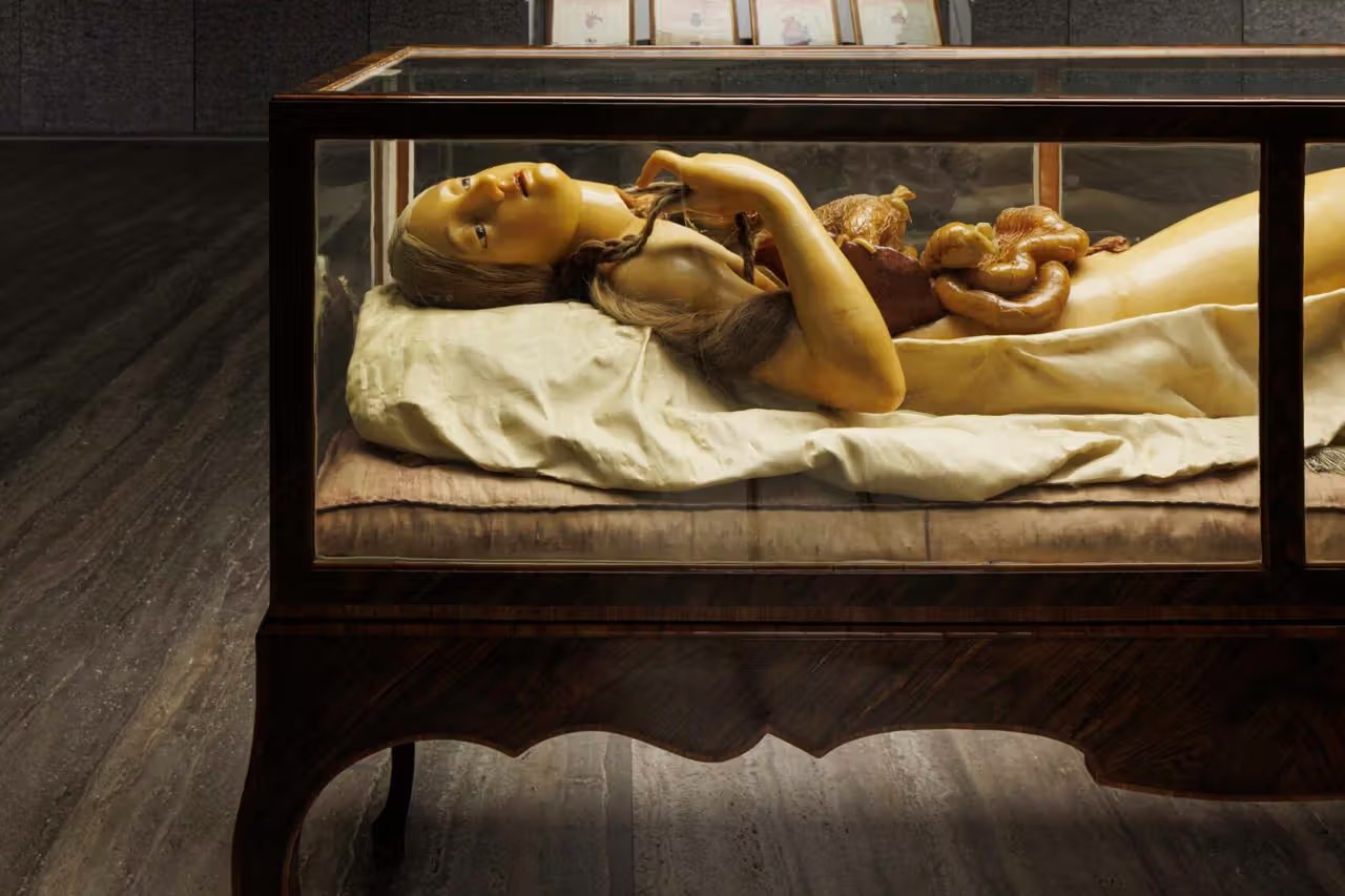 В Fondazione Prada открылась выставка, посвященная взаимосвязи анатомии, истории и искусства