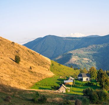 Целебная красота природы: почему стоит провести отпуск в Закарпатье