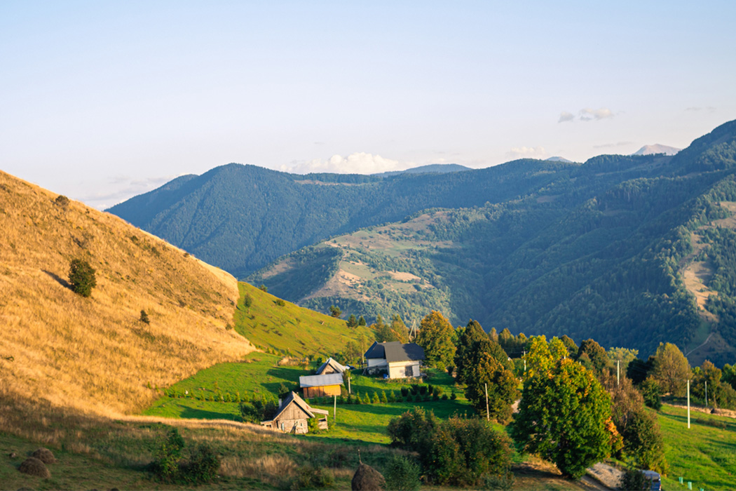 Целебная красота природы: почему стоит провести отпуск в Закарпатье