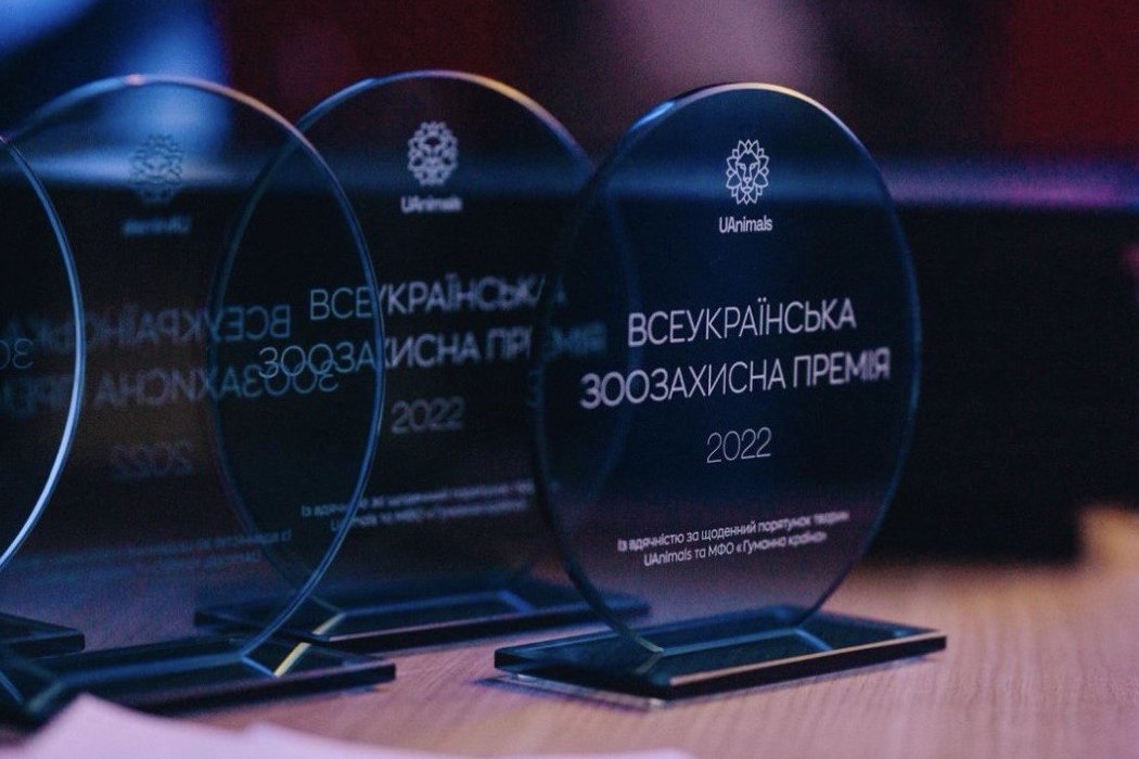 В Киеве во второй раз вручат премии зоозащитникам: где подать заявку
