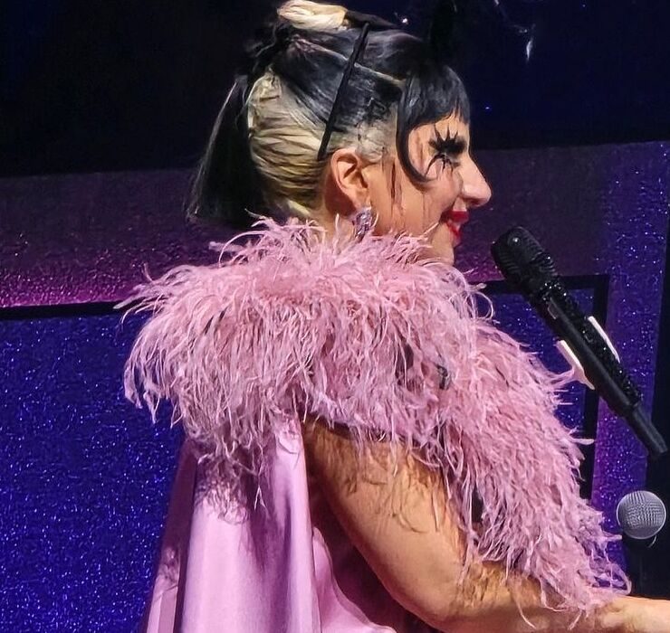 Носители: Леди Гага в кастомном платье Santa Brands на концерте в Лас-Вегасе