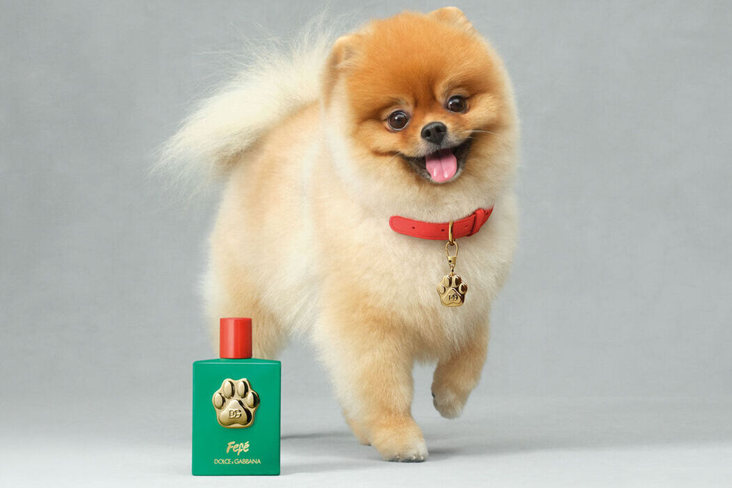 Dolce&#038;Gabbana выпустили парфюм для животных