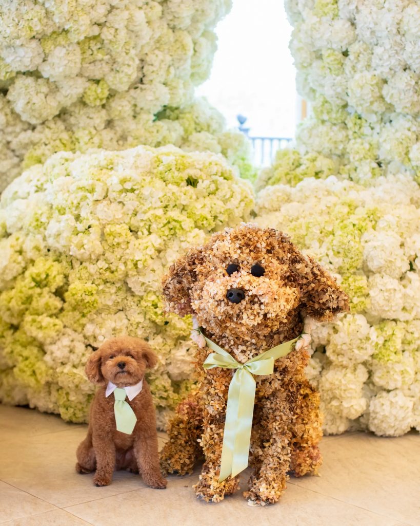 В ожидании первенца: Оливия Калпо устроила яркий baby shower