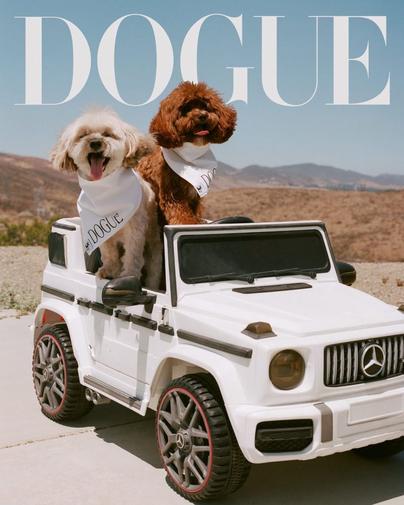 Улюбленці Сабріни Карпентер, Малуми та Розе на обкладинці DOGUE