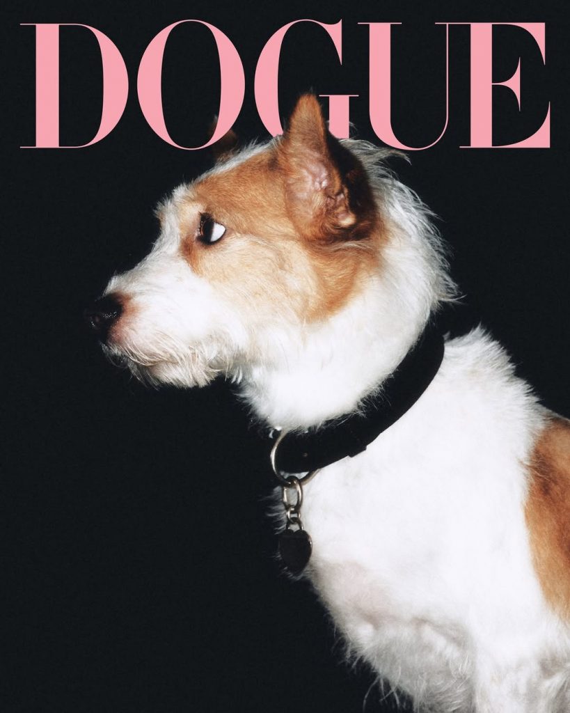 Улюбленці Сабріни Карпентер, Малуми та Розе на обкладинці DOGUE