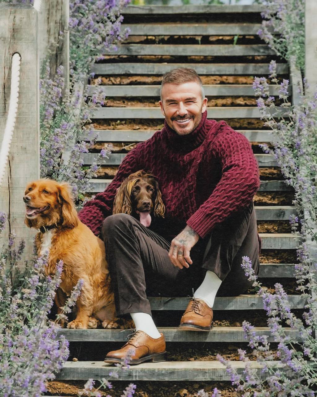 Девід Бекхем у затишній осінній фотосесії на сторінках Country Life