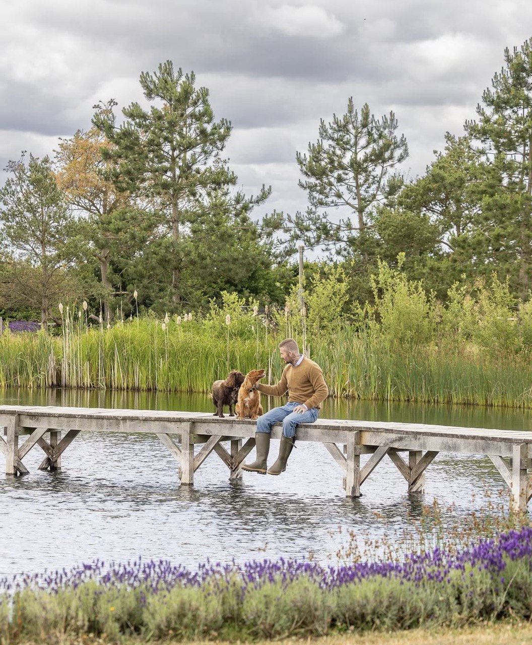 Девід Бекхем у затишній осінній фотосесії на сторінках Country Life