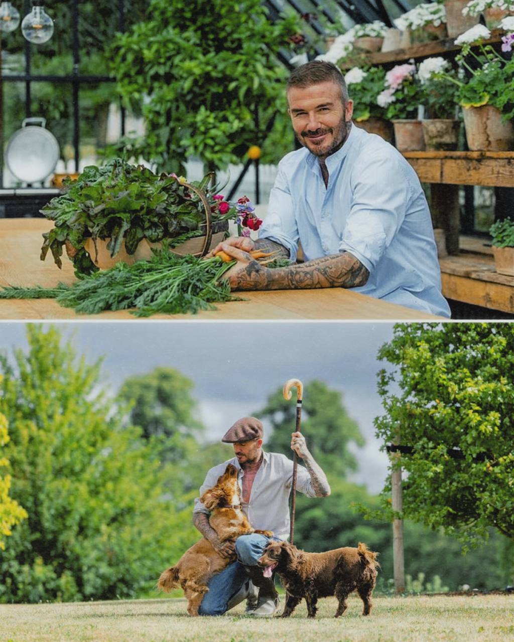 Девід Бекхем у затишній осінній фотосесії на сторінках Country Life