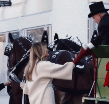 Меланія Трамп прийняла різдвяну ялинку: розглядаємо світлини