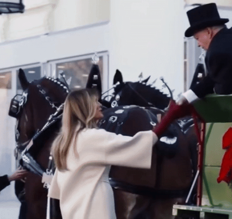 Мелания Трамп приняла рождественскую ёлку: рассматриваем фото