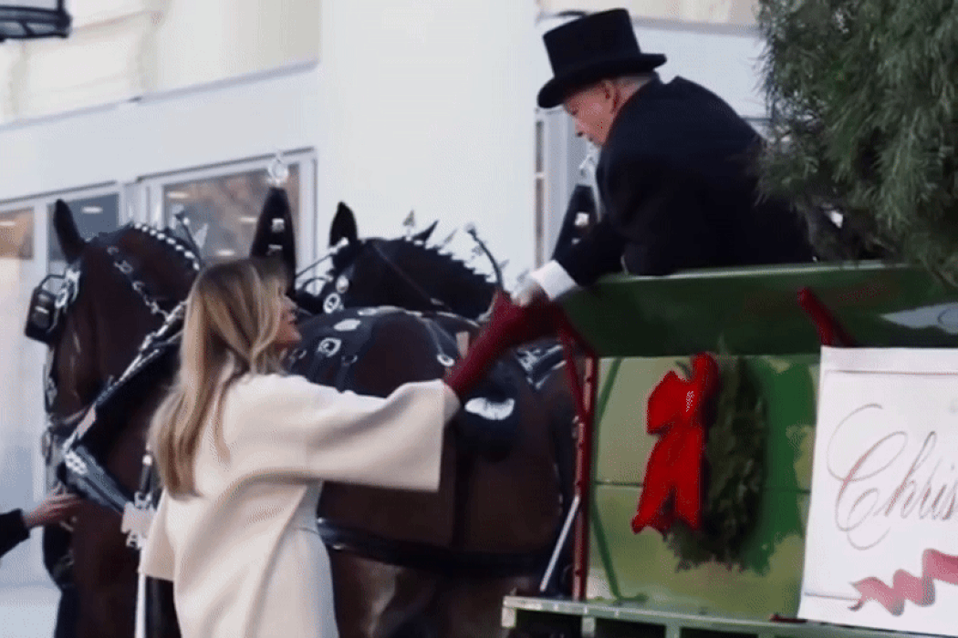 Меланія Трамп прийняла різдвяну ялинку: розглядаємо світлини