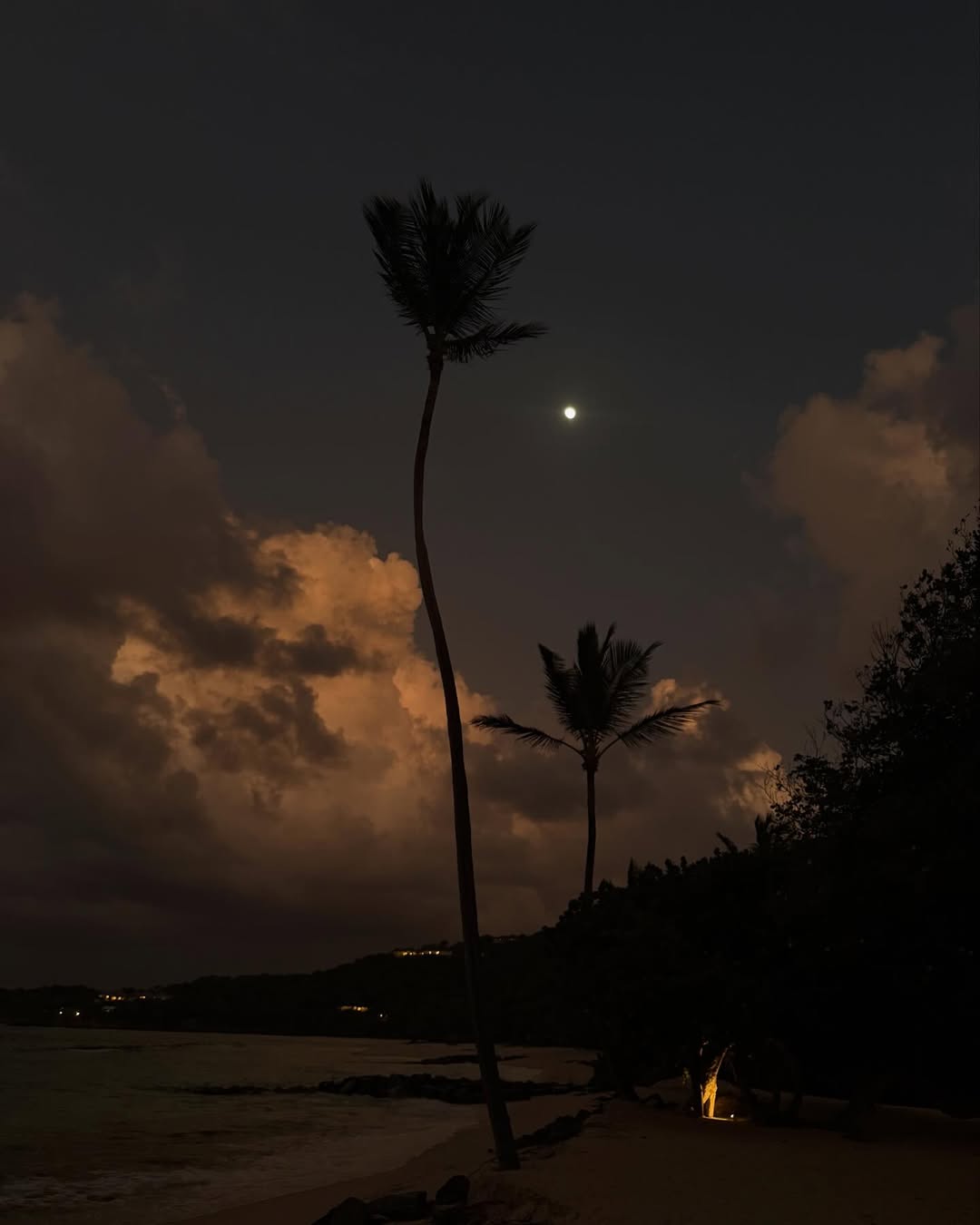 Как Кендалл Дженнер отметила свое 30-летие