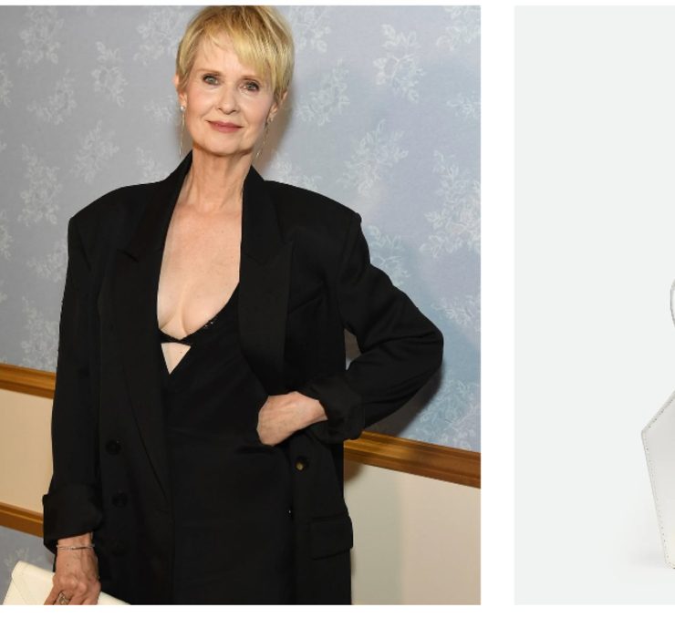 Носители: Синтия Никсон «выгуляла» сумку Bevza