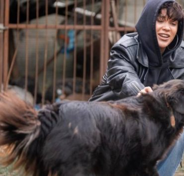 «Запали зірку тепла»: Даніель Салем, Lida Lee і інші зірки у кампанії допомоги тваринам