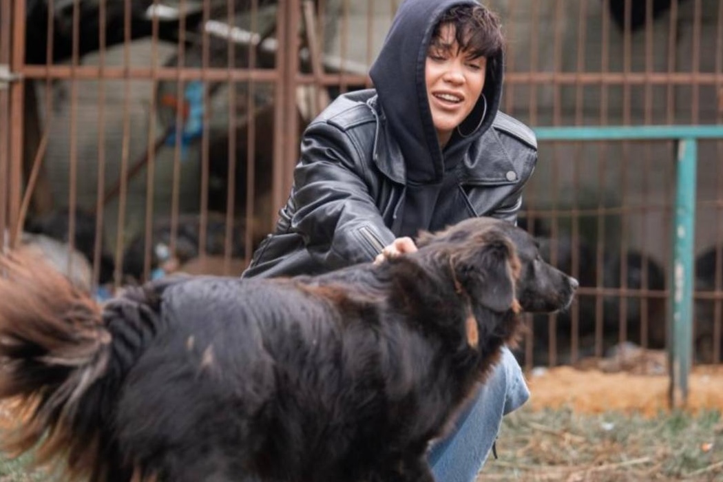 «Запали зірку тепла»: Даніель Салем, Lida Lee і інші зірки у кампанії допомоги тваринам