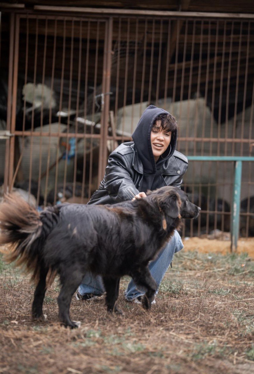 «Запали зірку тепла»: Даніель Салем, Lida Lee і інші зірки у кампанії допомоги тваринам