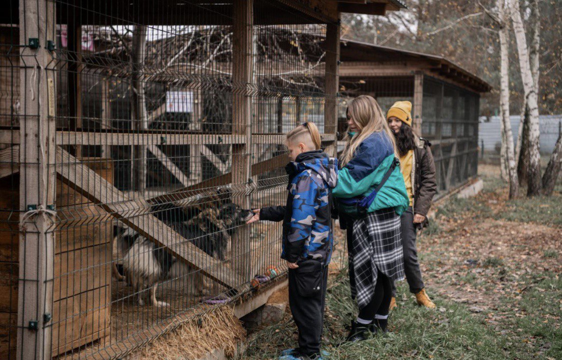 «Запали зірку тепла»: Даніель Салем, Lida Lee і інші зірки у кампанії допомоги тваринам