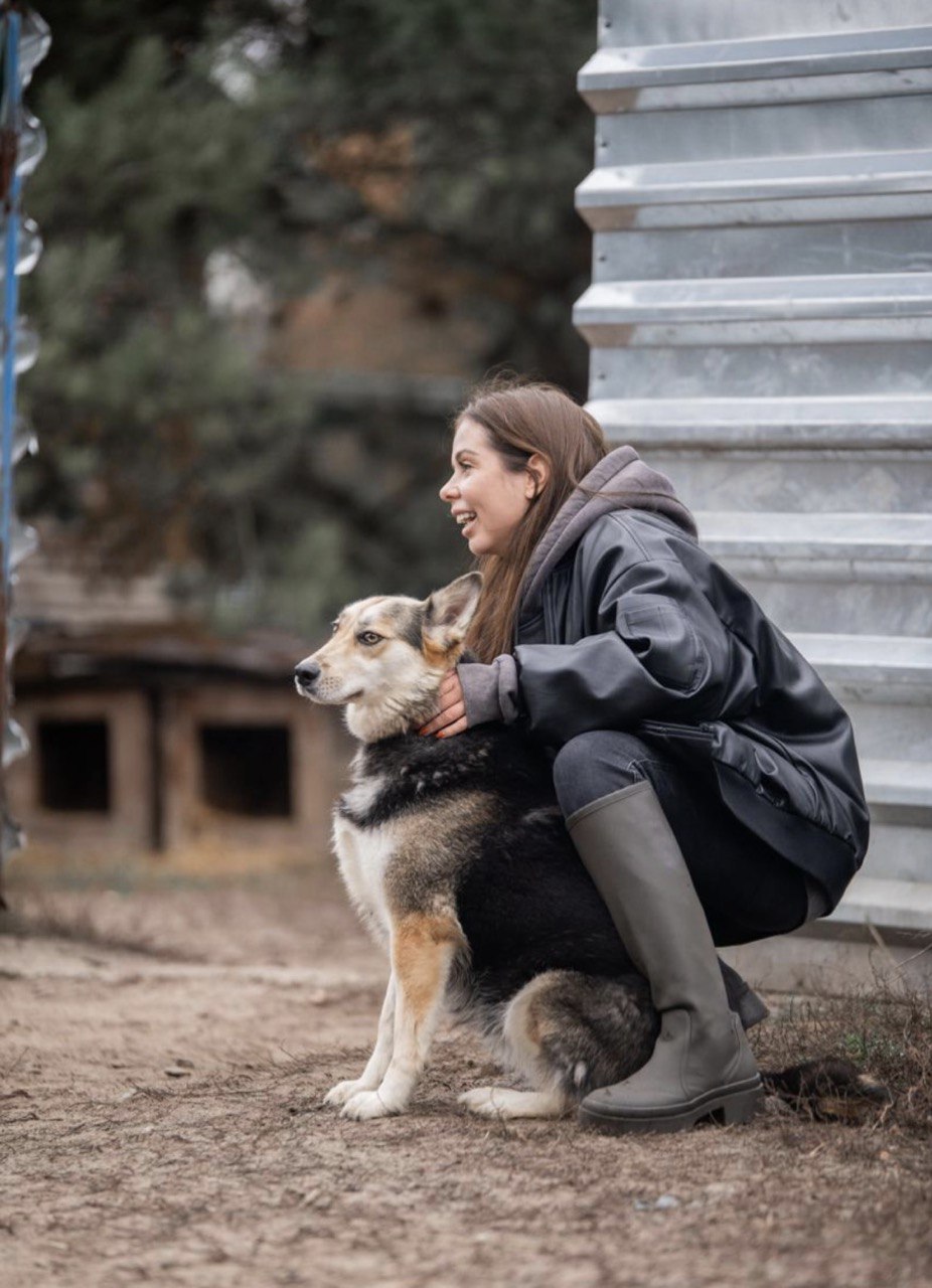 «Запали зірку тепла»: Даніель Салем, Lida Lee і інші зірки у кампанії допомоги тваринам