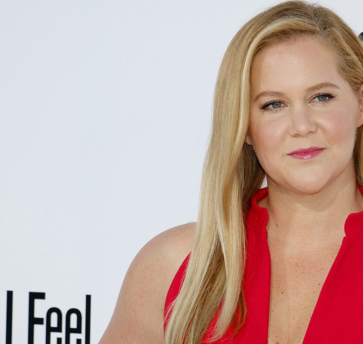 Емі Шумер розлучається з чоловіком після семи років шлюбу