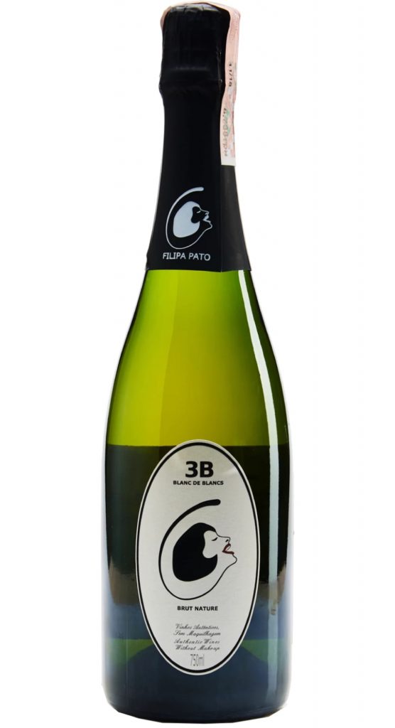 Вибір експертів: 5 ігристих вин для бездоганного святкового столу