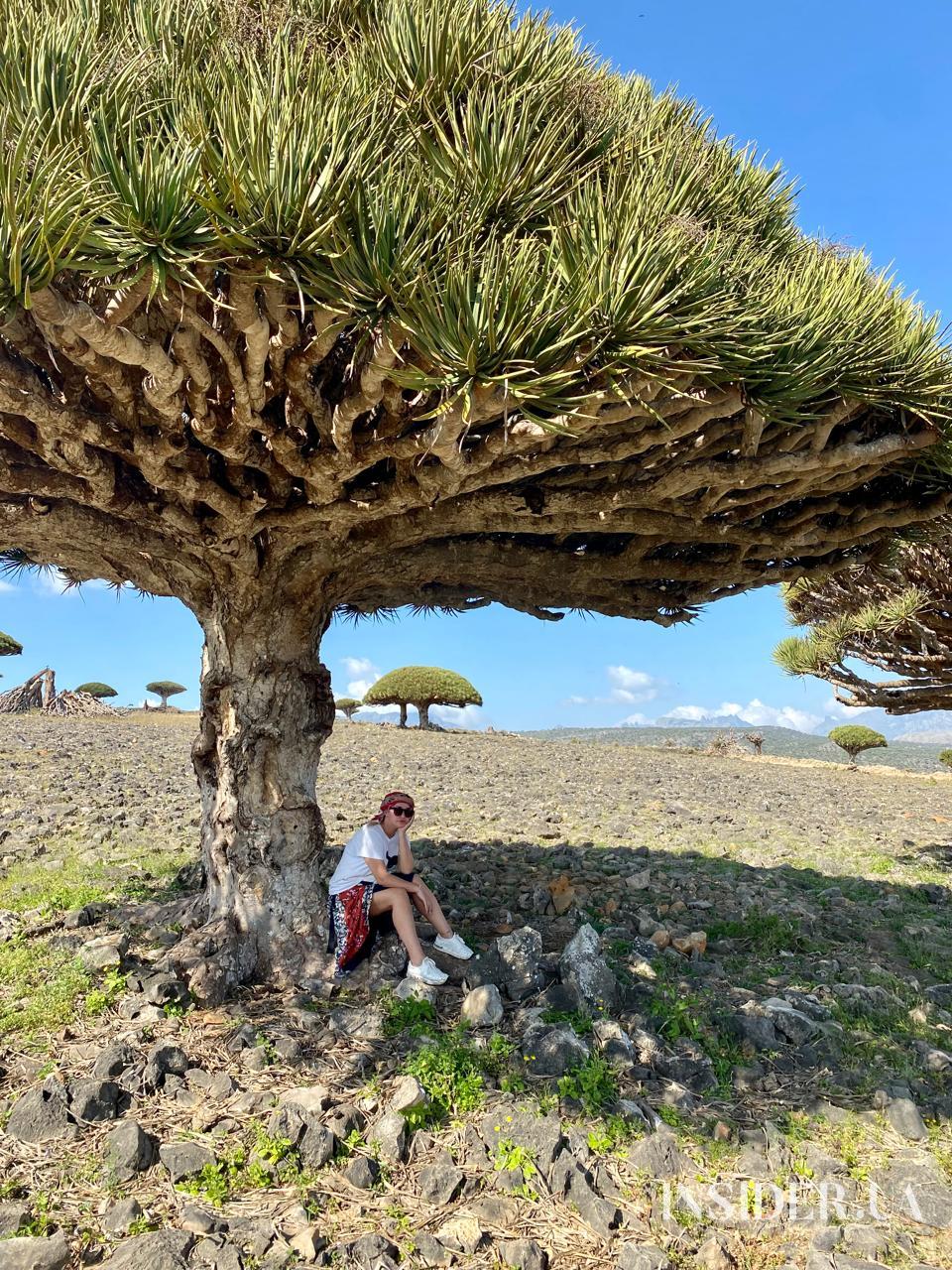 &laquo;П&rsquo;ємо корвалол, але й далі працюємо&raquo;: як &laquo;Орел і Решка&raquo; переживає ШІ-перезапуск