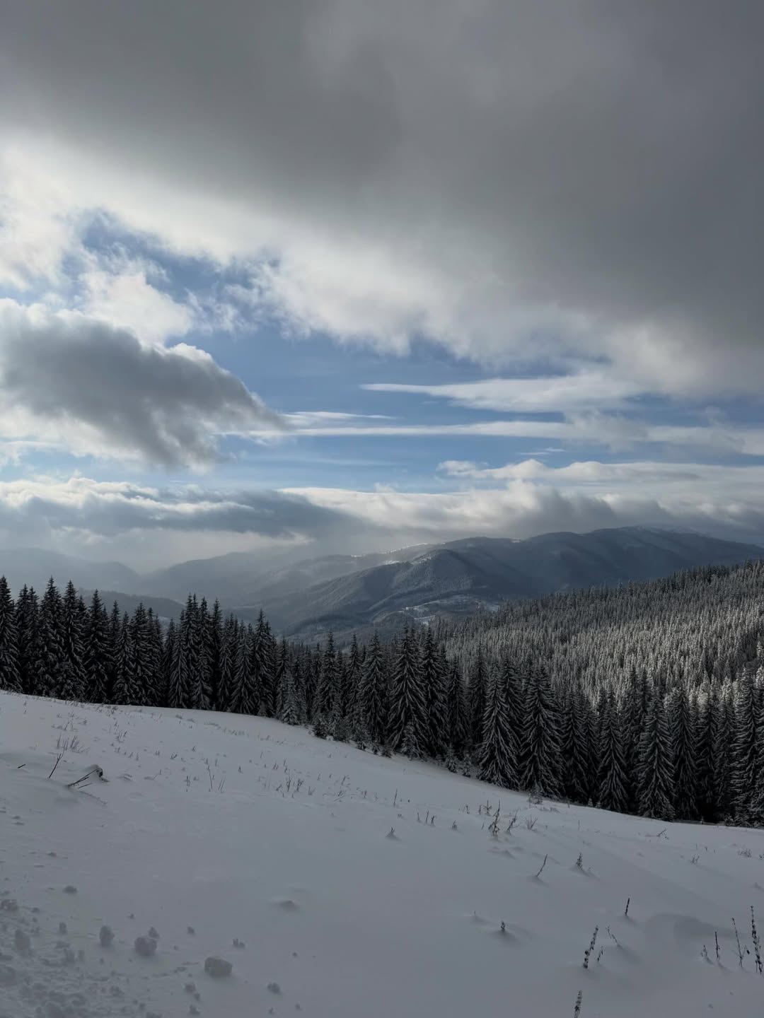 Сімейна ідилія: Леся Нікітюк відпочиває з родиною в Карпатах