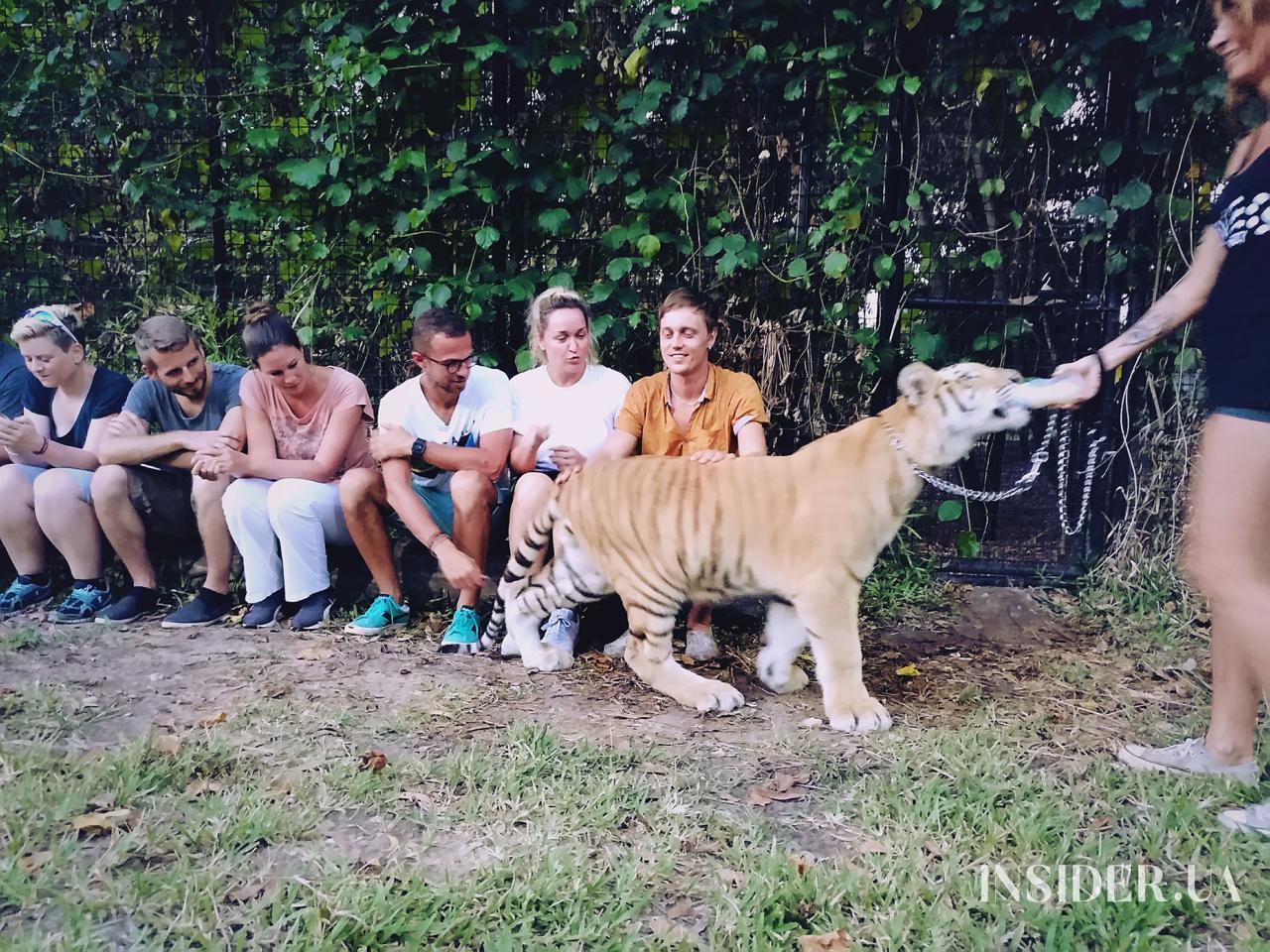 &laquo;П&rsquo;ємо корвалол, але й далі працюємо&raquo;: як &laquo;Орел і Решка&raquo; переживає ШІ-перезапуск