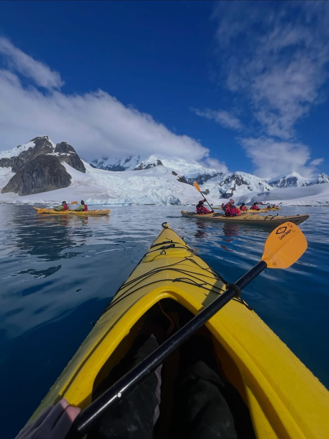 Следом за Майклом Дугласом: Николь Кидман отправилась в Антарктиду