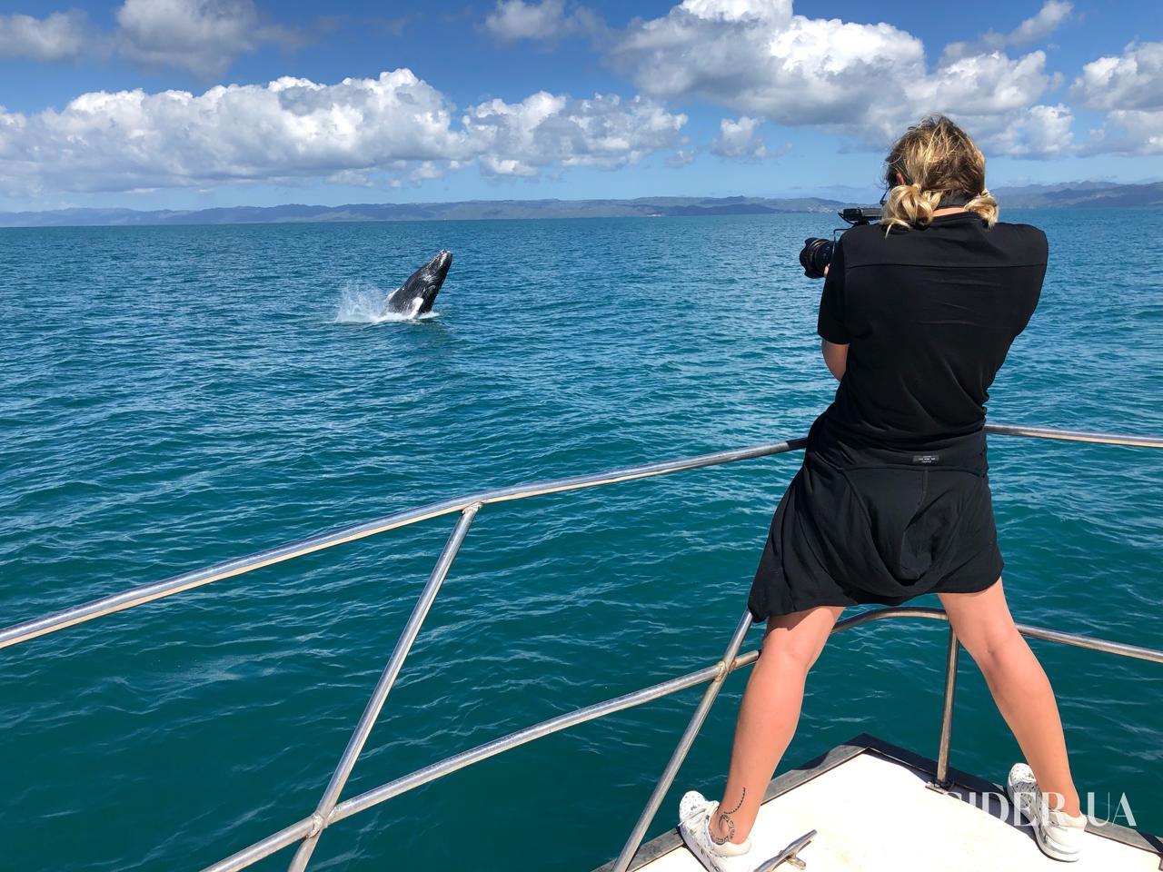 &laquo;П&rsquo;ємо корвалол, але й далі працюємо&raquo;: як &laquo;Орел і Решка&raquo; переживає ШІ-перезапуск