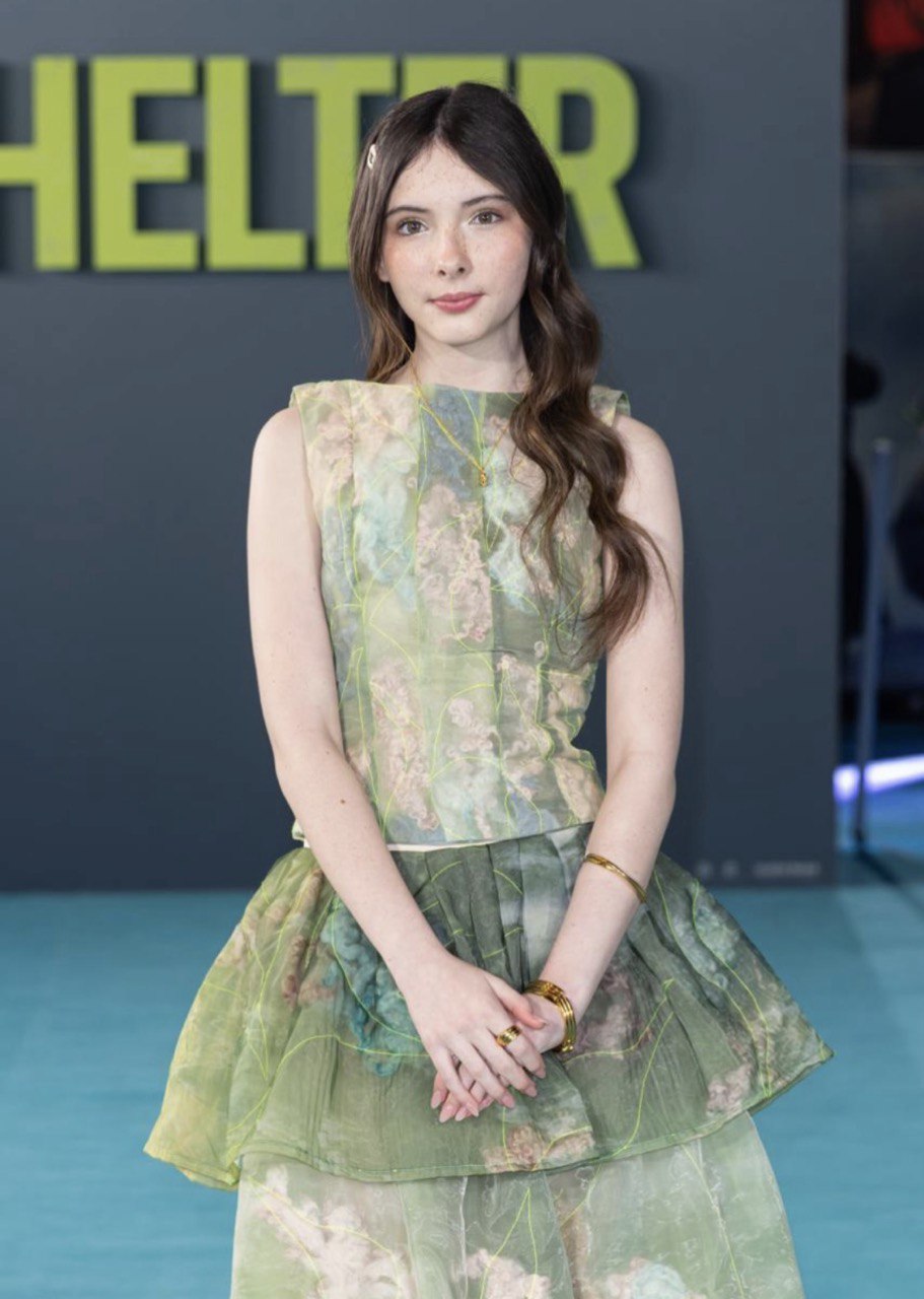 Джейсон Стэйтем на премьере фильма &laquo;Убежище&raquo; в Лондоне