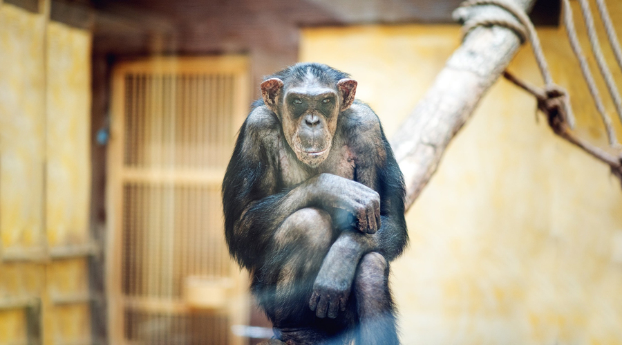 Як зоопарк &laquo;XII Місяців&raquo; пережив морози та готується до нового сезону