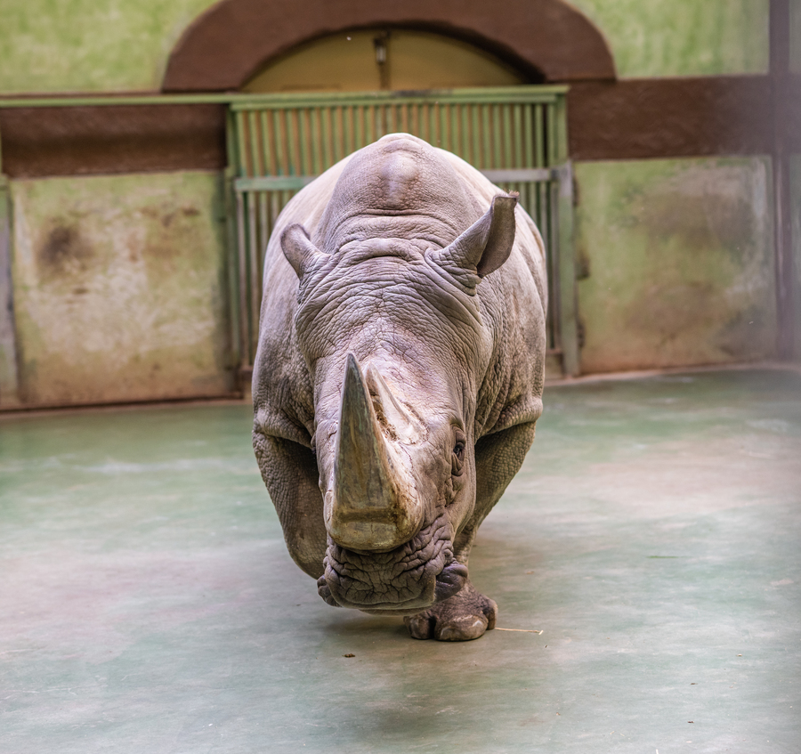 Як зоопарк &laquo;XII Місяців&raquo; пережив морози та готується до нового сезону