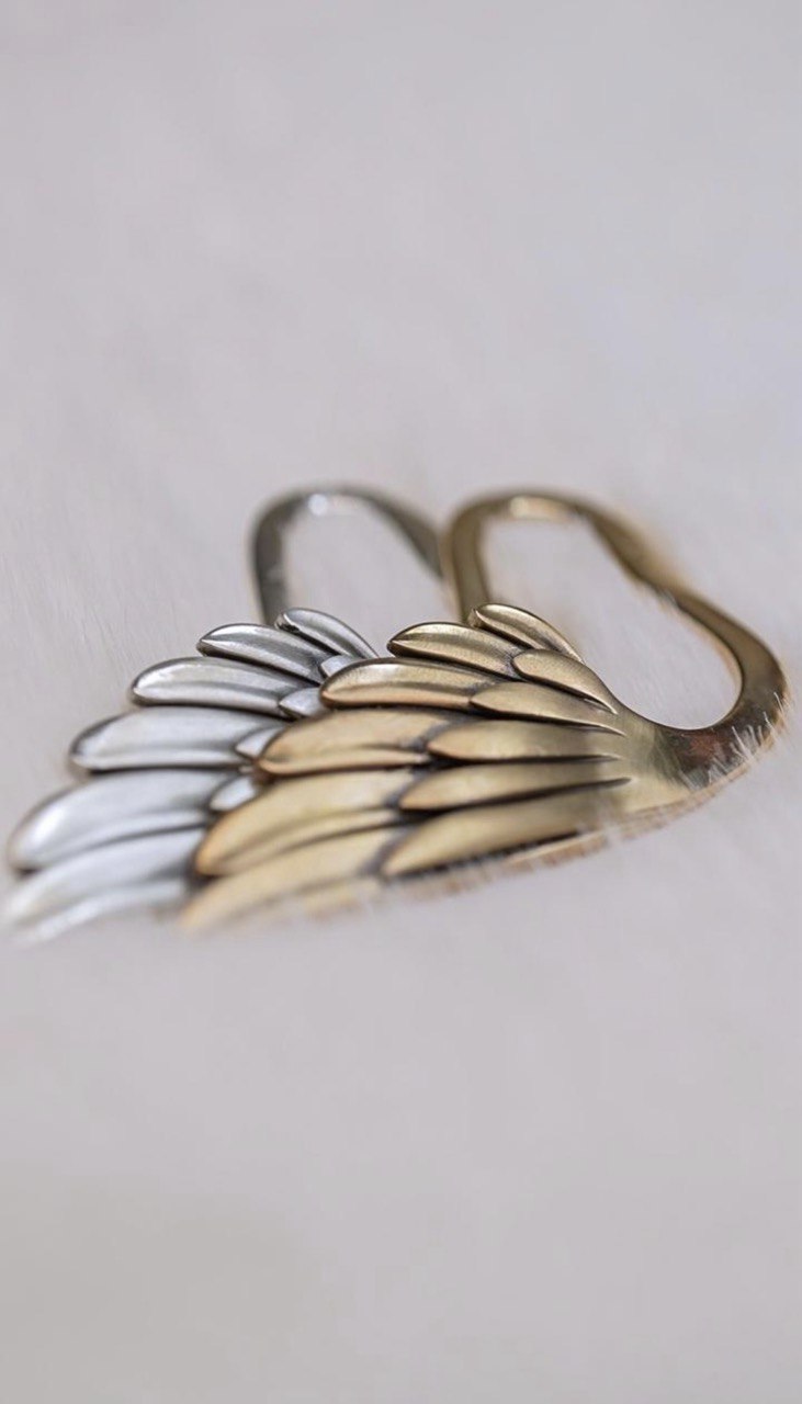 Бренд GASANOVA презентував колаборацію з Ліною Костенко