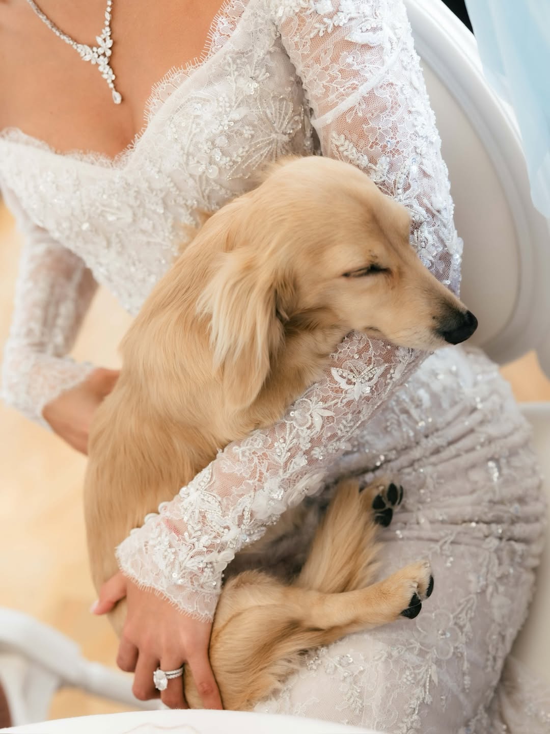 Звезда &laquo;Формулы-1&raquo;  Шарль Леклер женился: рассматриваем фото