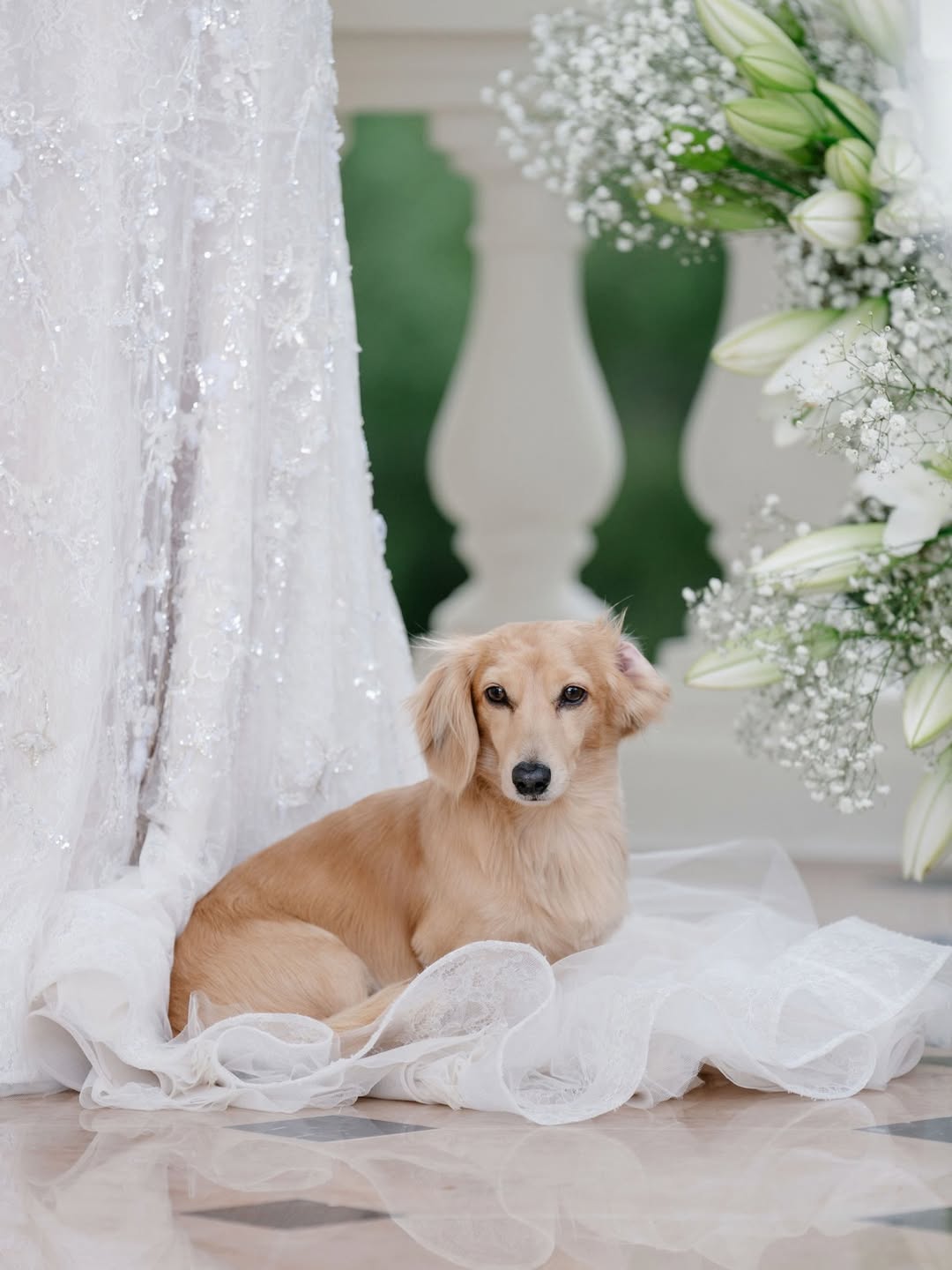 Звезда &laquo;Формулы-1&raquo;  Шарль Леклер женился: рассматриваем фото